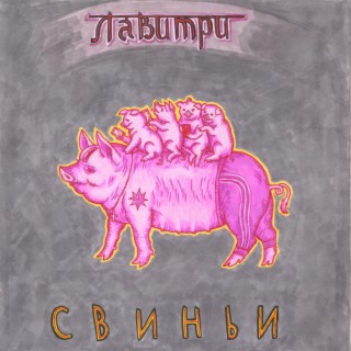 Свиньи