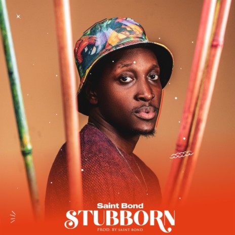 Stubborn | Boomplay Music