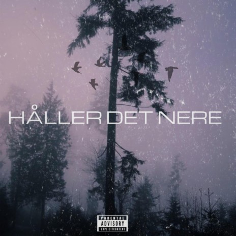 Håller det nere ft. C-VE | Boomplay Music