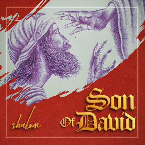 Son of David by Shalom | Boomplay Music
