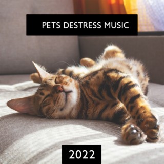 Pets Destress Music 2022