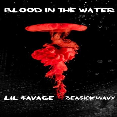 Blood In The Water ft. SEASICKWAVY | Boomplay Music