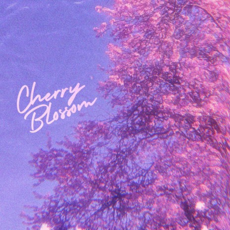 Cherry Blossom | Boomplay Music