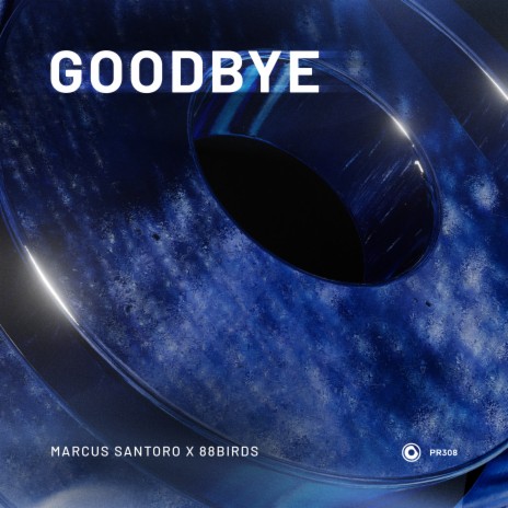 Goodbye ft. 88Birds | Boomplay Music