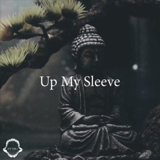 Up My Sleeve lyrics | Boomplay Music