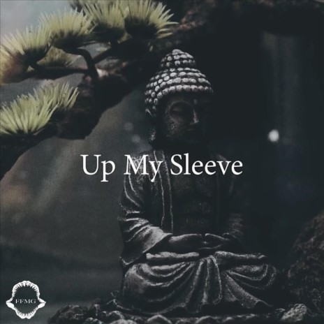 Up My Sleeve | Boomplay Music