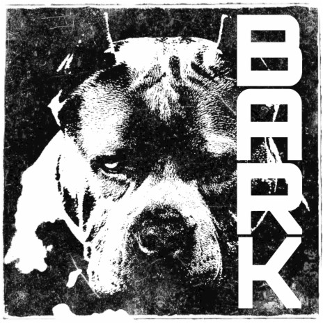 Bark | Boomplay Music
