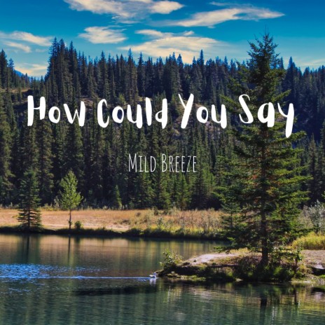 How Could You Say | Boomplay Music