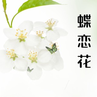 蝶恋花