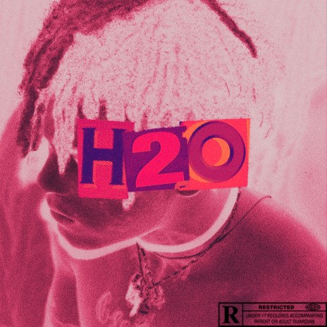 H2O