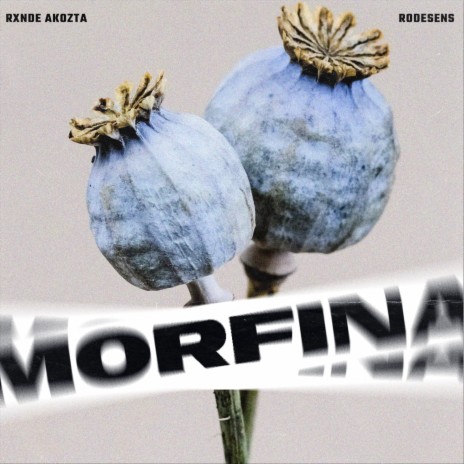 Morfina ft. Rodesens | Boomplay Music