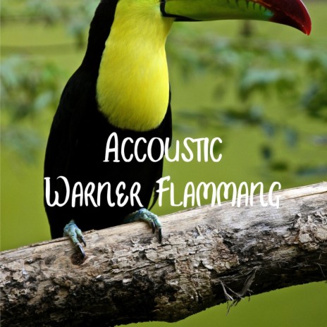 Accoustic | Boomplay Music