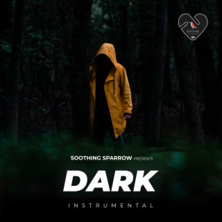 Dark (Instrumental)
