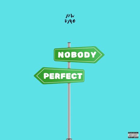 Nobody Perfect | Boomplay Music
