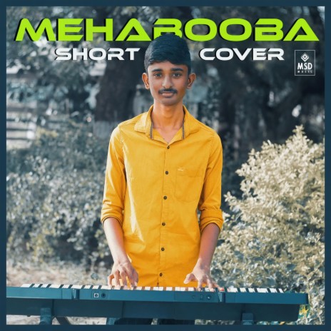 Mehabooba (Instrumental) | Boomplay Music