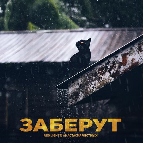 Заберут ft. Анастасия Честных | Boomplay Music