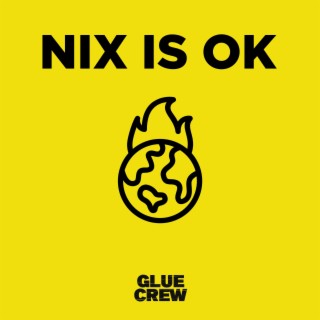 Nix is ok