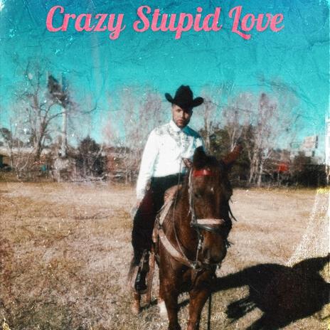 Crazy Stupid Love (Radio Edit) | Boomplay Music