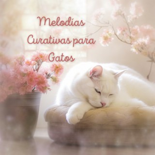 Melodías Curativas para Gatos