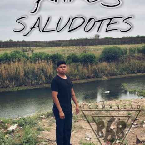 Saludotes | Boomplay Music