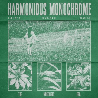 Harmonious Monochrome: Rain's Hushed Noise