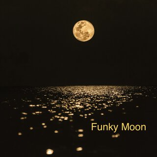 Funky Moon