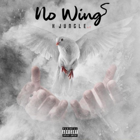 No Wings | Boomplay Music