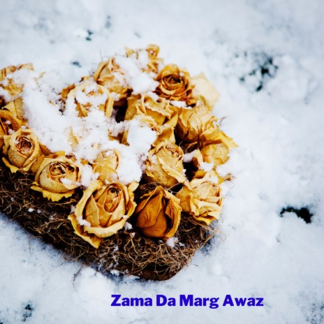 Zama Da Marg Awaz ft. Chahat Papu | Boomplay Music