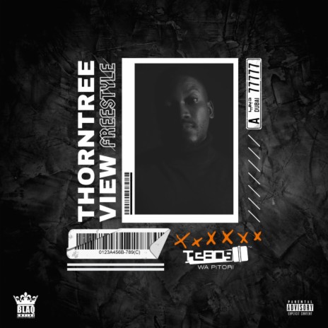 Thorntree View Freestyle | Boomplay Music