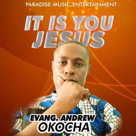 It is You Jesus | Boomplay Music
