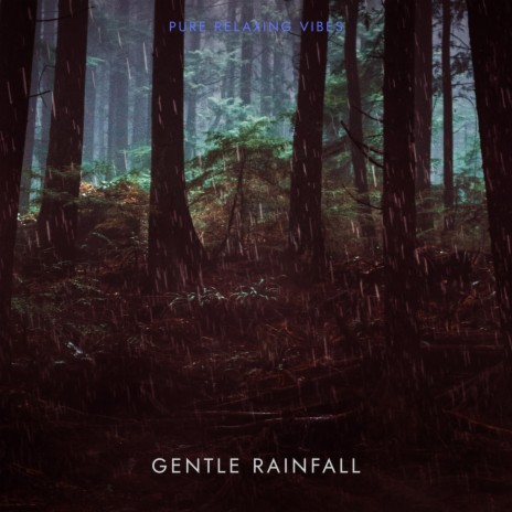 Gentle Rainfall | Boomplay Music