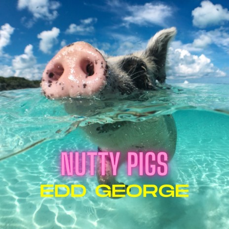 Nutty Pigs | Boomplay Music