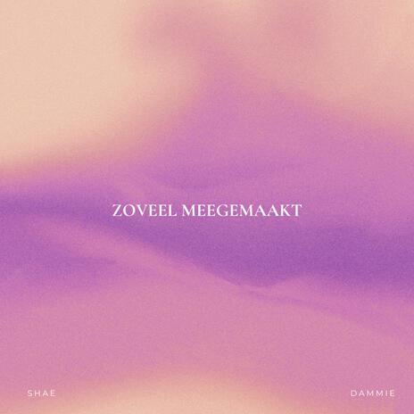 Zoveel Meegemaakt ft. Dammie | Boomplay Music