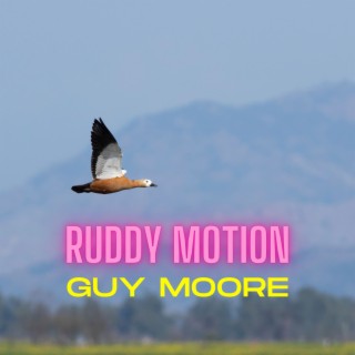 Ruddy Motion