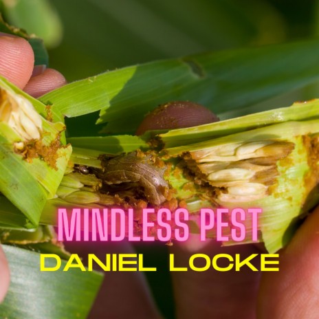 Mindless Pest | Boomplay Music