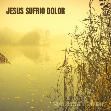 Jesús Sufrió Dolor | Boomplay Music