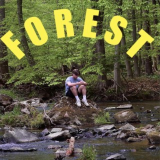 Forest lyrics | Boomplay Music