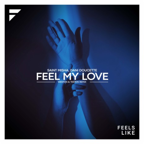 Feel My Love (Weston & Teston Remix) ft. Dani Doucette | Boomplay Music