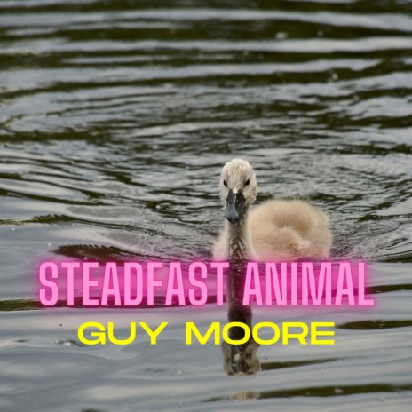 Steadfast Animal | Boomplay Music