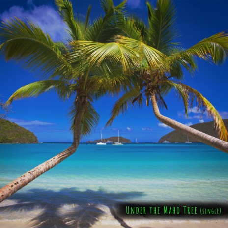 Under the Maho Tree | Boomplay Music