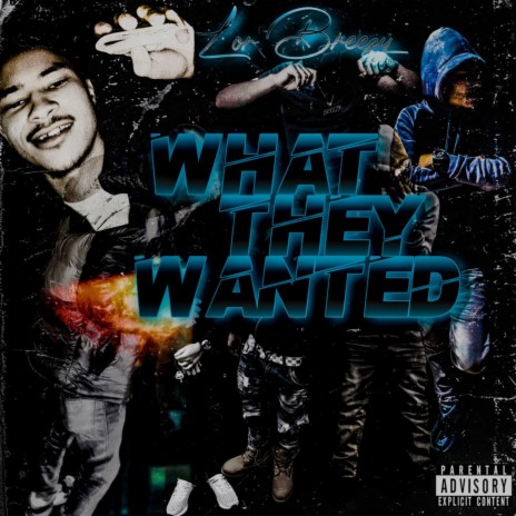 What They Wanted | Boomplay Music