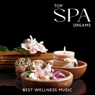 Top Spa Dreams: Best Wellness Music for Time to Relax in Spa Hotel, Sounds of Nature for Deep Relax, Spa Massage Music, Spa Music