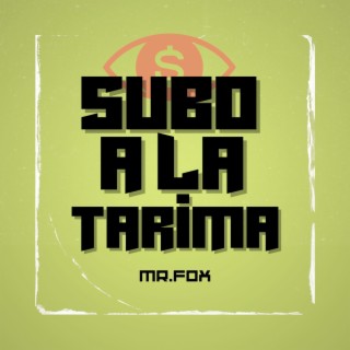 Subo a la tarima