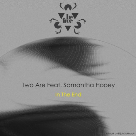 In The End (Radio Edit) ft. Samantha Hooey