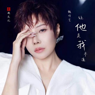 让他走我不追 lyrics | Boomplay Music