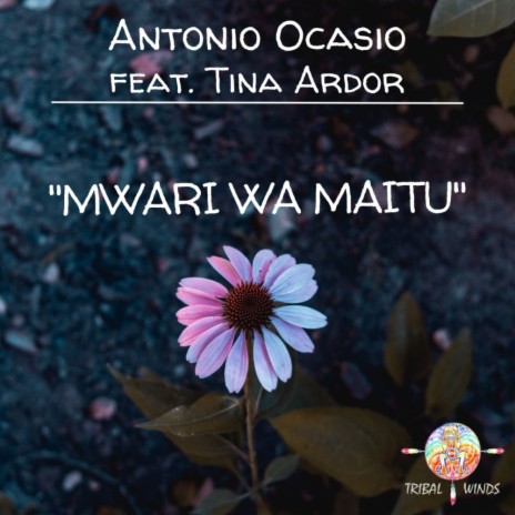 Mwari Wa Maitu ft. Tina Ardor
