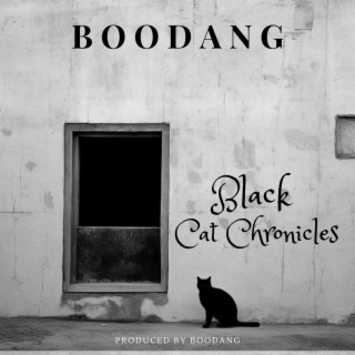 BLACK CAT CHRONICLES