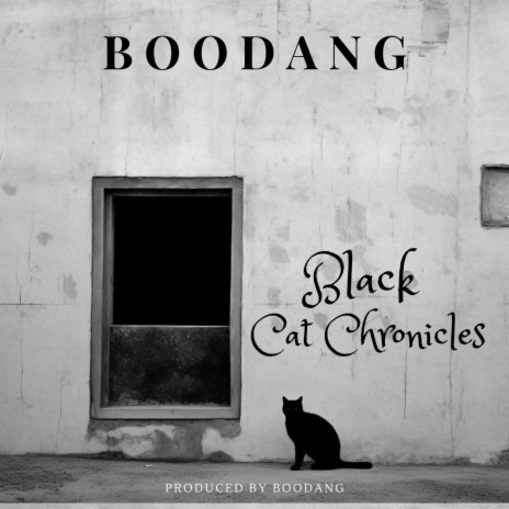 BLACK CAT CHRONICLES | Boomplay Music