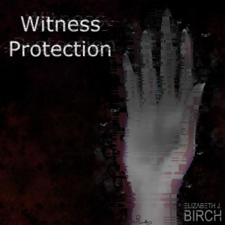 Witness Protection lyrics | Boomplay Music
