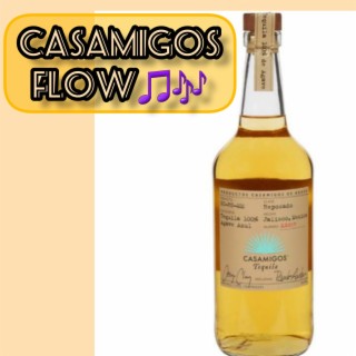 CASAMIGOS FLOW